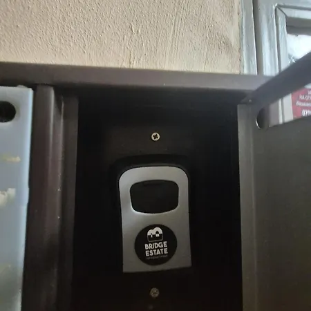 Yellow Dream * Varna